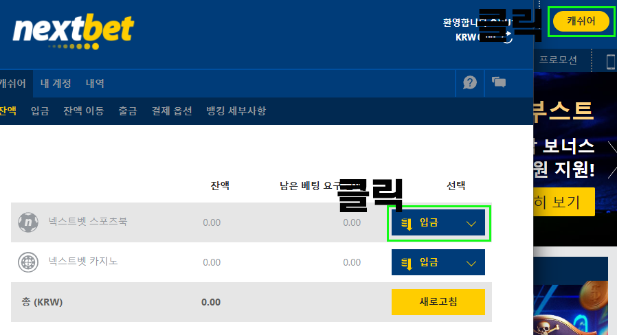 넥스트벳 입금