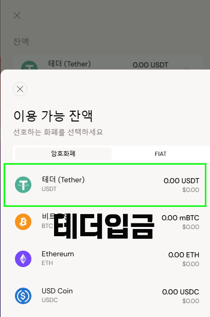 비트카지노 입금